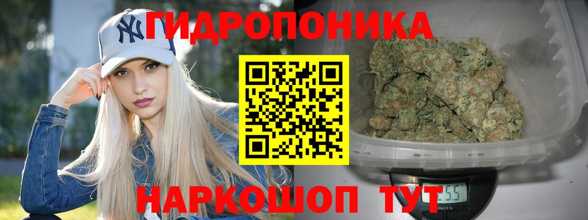 Конопля MAZAR  Бошки Шишки тримм  Вход с VPN  Осинники 
